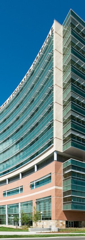 Impressive curved structure with glass windows 